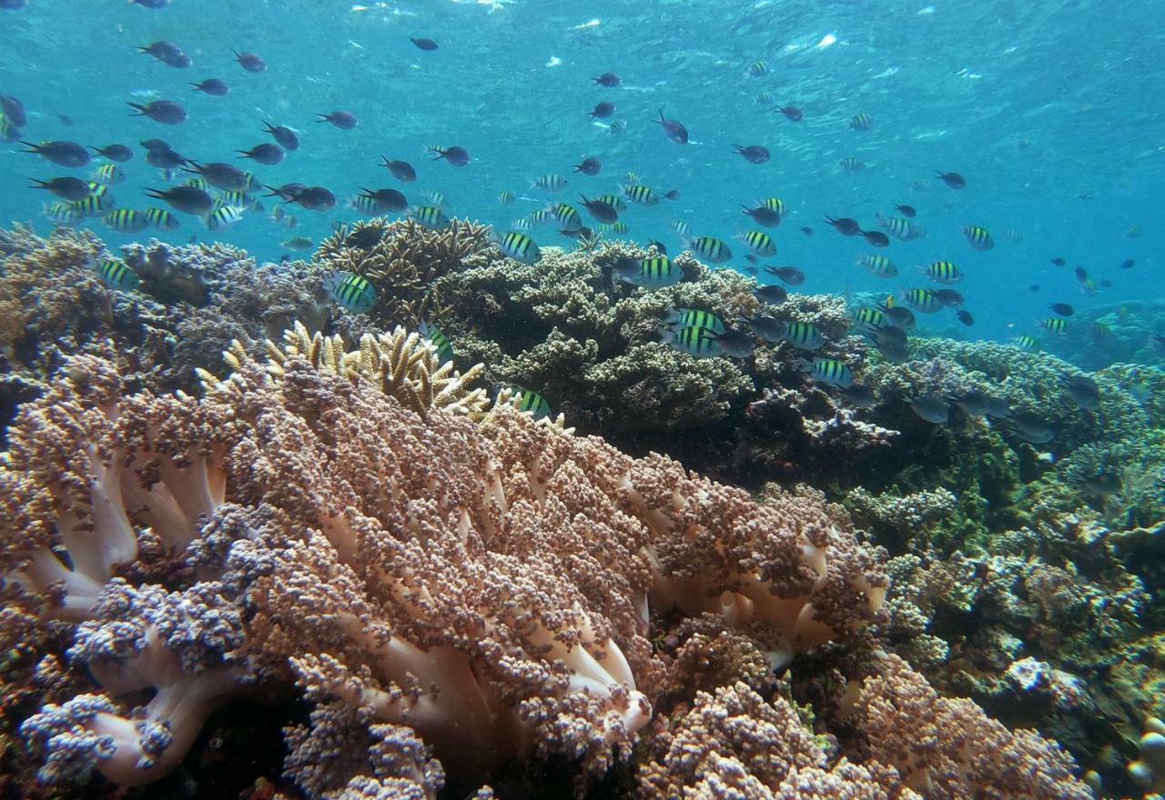 3Will Bunaken Dive Resort Εξωτερικό φωτογραφία